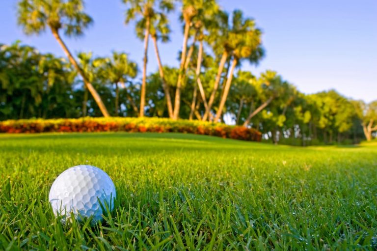 Madeira Beach Top Golf Courses Travel Resort Services